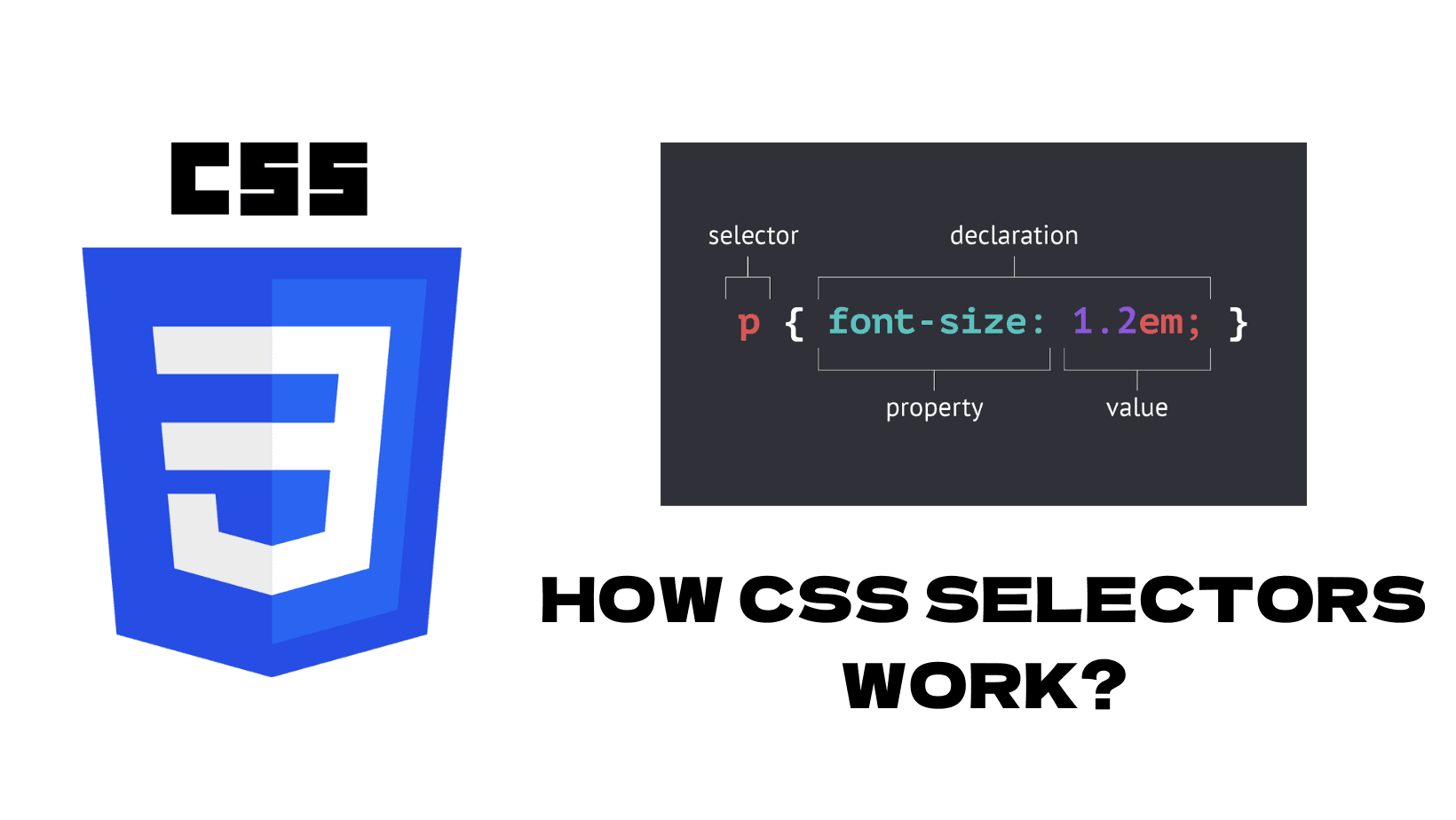 What are CSS Selectors & How Do They Work?
